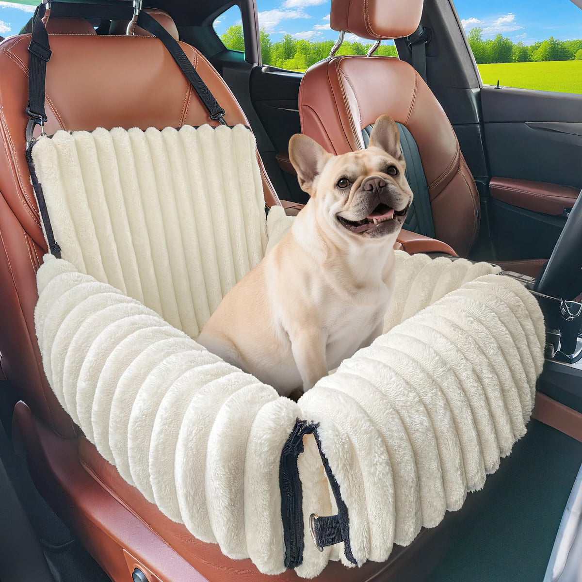 Pet Travel Carrier