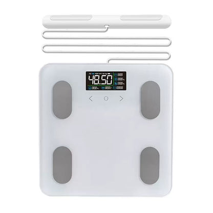 Electrode body fat scale