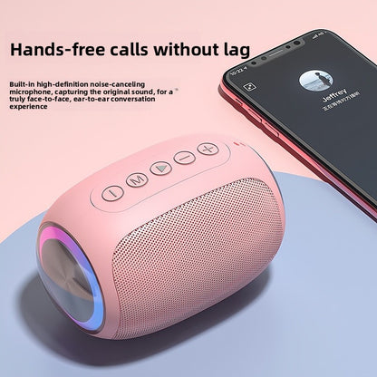 Portable Wireless Bluetooth 5.2 Speaker with Subwoofer & Heavy Bass
