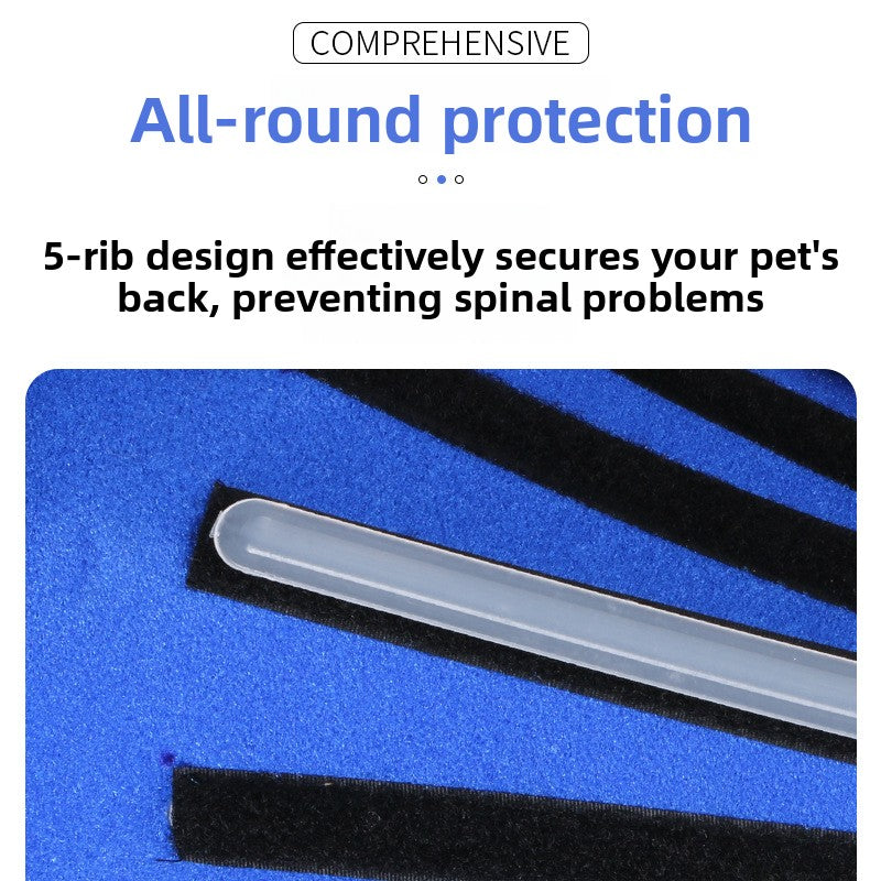 Pet Spinal Support Suit