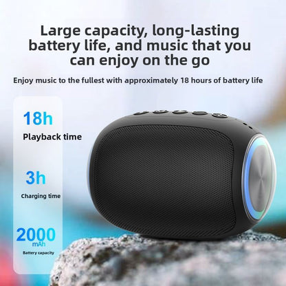 Portable Wireless Bluetooth 5.2 Speaker with Subwoofer & Heavy Bass