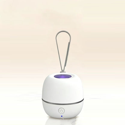 Portable pacifier sterilizer