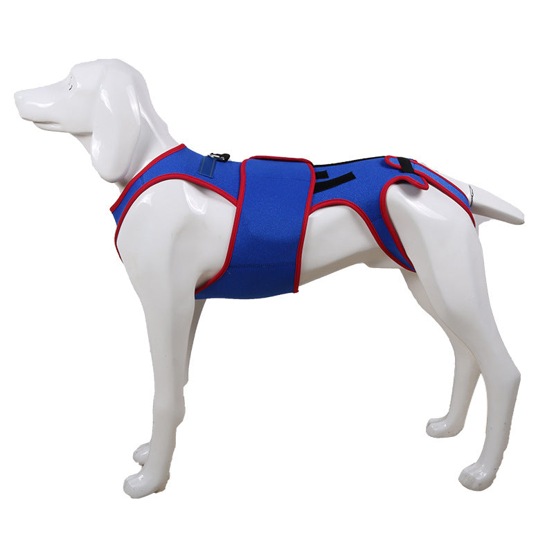 Pet Spinal Support Suit