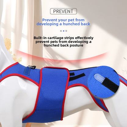 Pet Spinal Support Suit